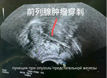 fuda15_172556.png image.png