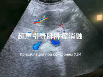 fuda15_313286.png image.png